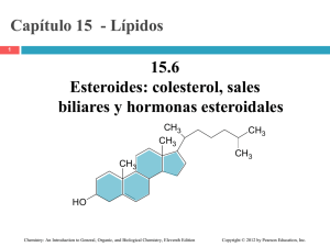 Capitulo 15-6 Esteroides, Colesterol y Hormonas