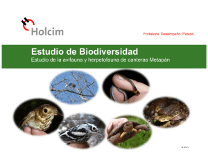 Estudio de Biodiversidad