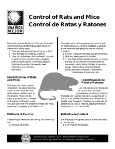 Control of Rats and Mice - Control de Ratas y Ratones
