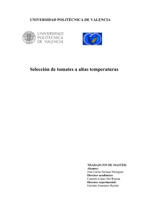 Selección de tomates a altas temperaturas