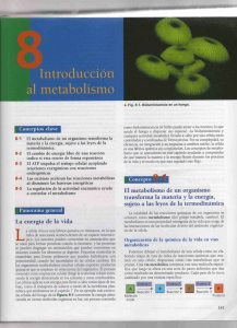 Page 1 Introducción al metabolismo Conceptos clave 8