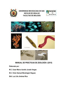 manual de prácticas de zoología i (2015)