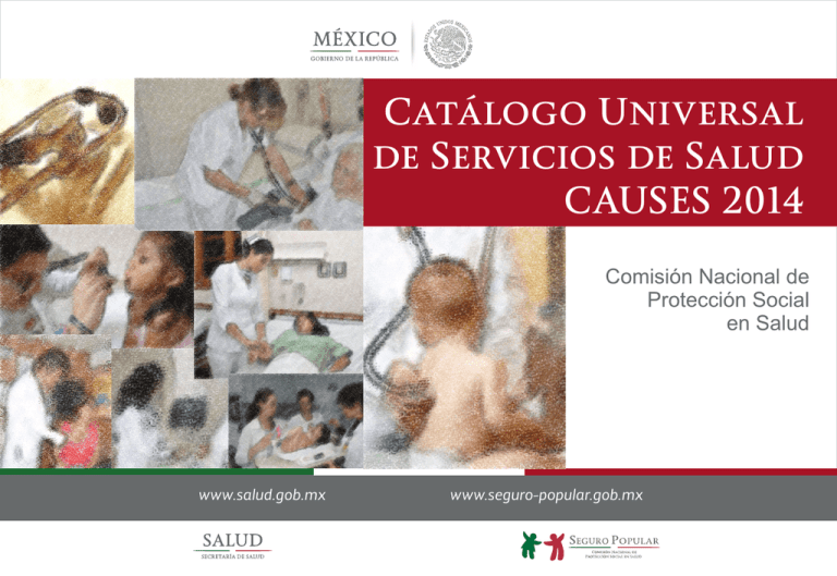 Catálogo Universal de Servicios de Salud CAUSES 2014