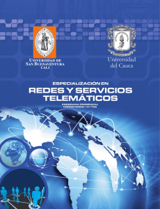 Especializacion en Redes y Servicios Telematicos 2014 Brochure