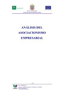 análisis del asociacionismo empresarial