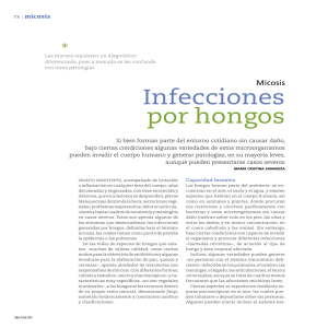 Infecciones por hongos