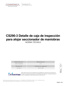 CS290-3 Detalle de caja de inspección para alojar seccionador de