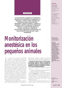 Monitorización anestésica
