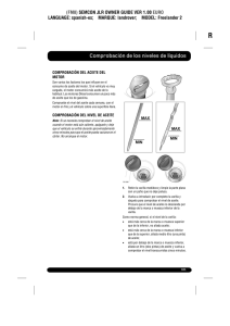 Comprobación de los niveles de líquidos