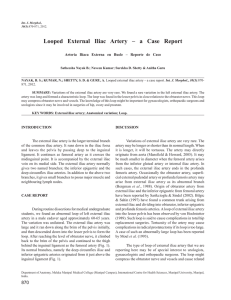 Looped External Iliac Artery – a Case Report