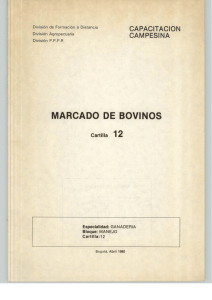 MARCADO DE BOVINOS