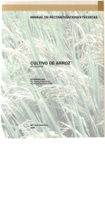 Arroz, Manual de recomendaciones técnicas