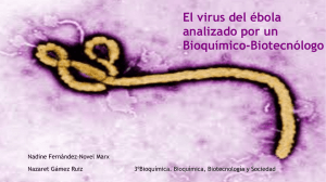 El virus del ébola analizado por un Bioquímico