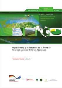 Mapa Forestal y de Cobertura de la Tierra de - REDD/CCAD-GIZ