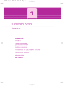 El endometrio humano