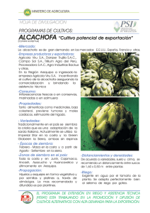 PROGRAMAS DE CULTIVOS: ALCACHOFA