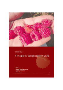 Principales Variedades en Chile
