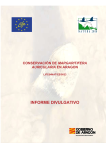 Informe divulgativo life Conservacion M. auricularia Aragón