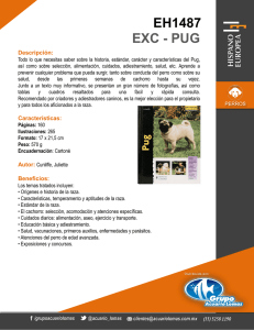 EXC - PUG EH1487 - Grupo Acuario Lomas