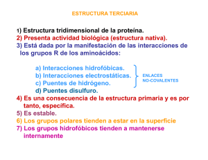 1) Estructura tridimensional de la proteína. 2) Presenta actividad