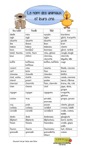 Le nom des animaux et leurs cris Nom (mâle)