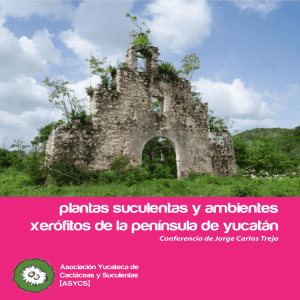 plantas suculentas y ambientes xerófitos de la península de yucatán
