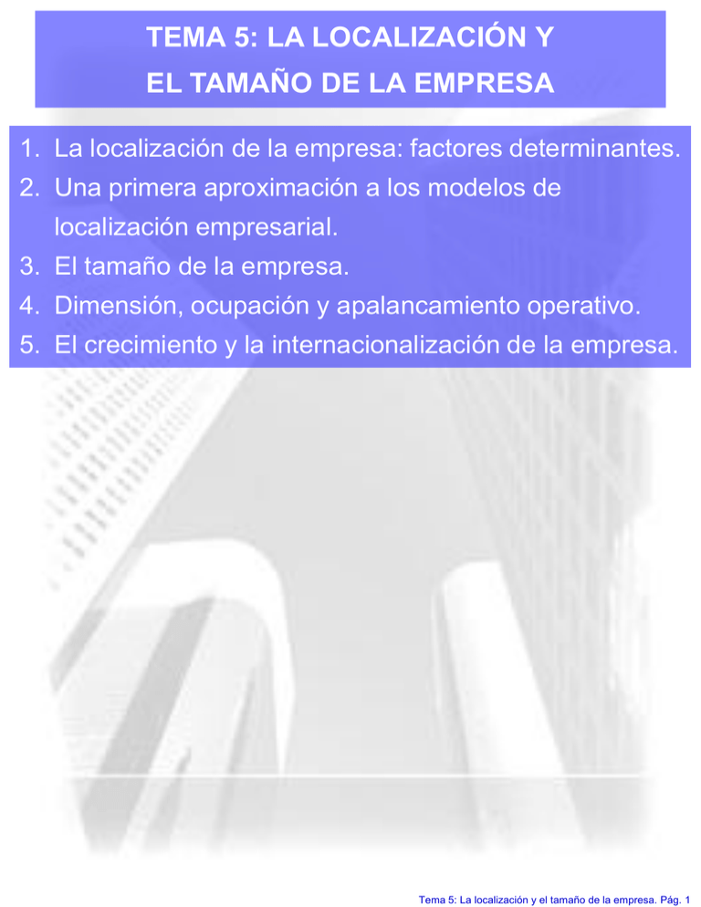 Tema 5 La Localización Y El Tamaño De La Empresa