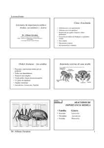 Clase Arachnida Orden Araneae – las arañas