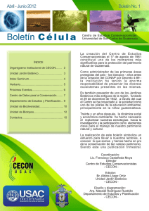 Célula Boletín