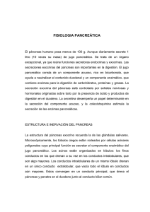 fisiologia pancreática - Pontificia Universidad Javeriana