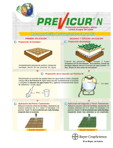 Protección prolongada y eficaz contra hongos del suelo.