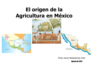 EL ORIGEN DE LA AGRICULTURA EN MESOAMÉRICA