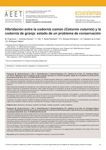 Hibridación entre la codorniz común (Coturnix coturnix)