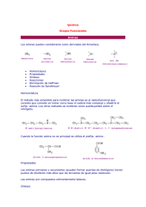 Química - Grupos Funcionales - AMINAS