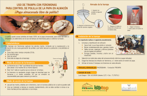 Uso de trampa con feromonas para control de polilla de la
