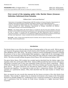 First record of the jumping spider tribe Huriini Simon (Araneae