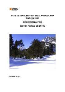 plan de gestion natura 2000. pirineo oriental