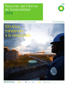 Resumen del Informe de Sostenibilidad 2008