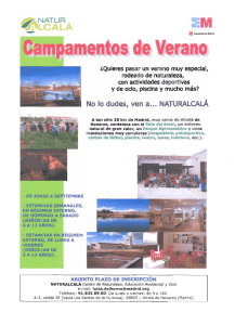 Oferta de Campamentos de Verano. Abierto el plazo de inscripción