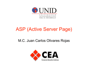 ASP (Active Server Page)