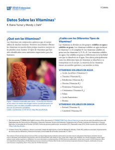Datos Sobre las Vitaminas1 - EDIS