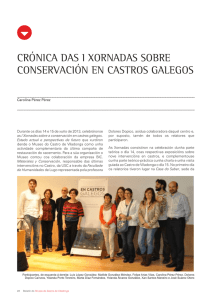 Crónica das I Xornadas sobre conservación en castros galegos