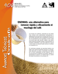 ENZIMAS - Ingredientes y productos funcionales