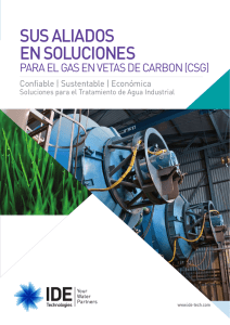 Folleto de Gas en Vetas de Carbon (CSG)
