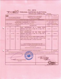 Page 1 PO - 2016 TRIBUNAL SUPREMO ELECTORAL 3.3