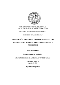 TRANSMISIÓN TRANSPLACENTARIA DE