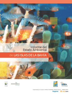 2012 Informe del Estado Ambiental de las Islas de la Bahia