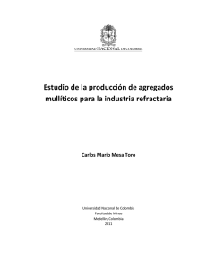 Estudio de la producción de agregados mullíticos para la industria