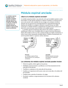 PE589S Tethered Spinal Cord - Spanish