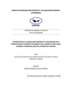 tesis completa en pdf - Investigaciones Mexicanas de la Corriente